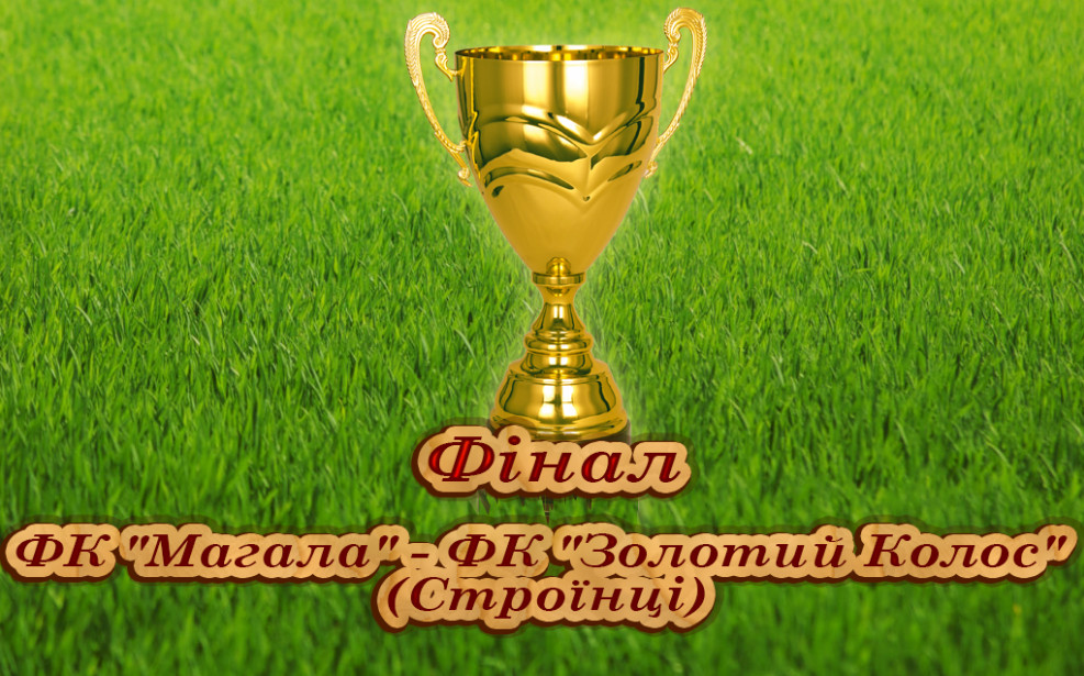Запрошуємо відвідати Фінал Кубка району!